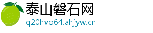 泰山磐石网
